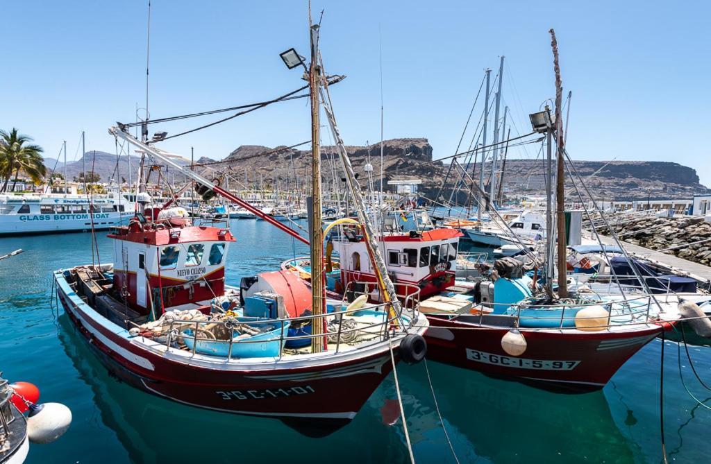 Apartamentos Las Palmeras Puerto De Mogan Eksteriør billede